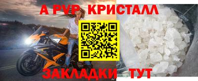 бошки Тверь