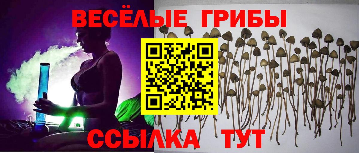 Галлюциногенные грибы GOLDEN TEACHER Майский